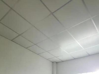 Cashew Nut Bungalow, Ko Mook - 10