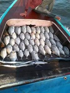 Cashew Nut Bungalow, Ko Mook - 9