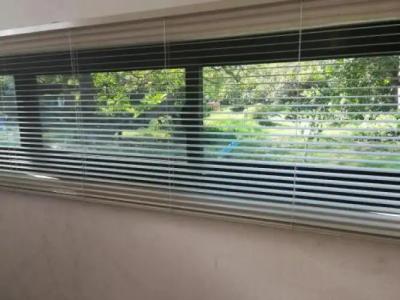 Cashew Nut Bungalow, Ko Mook - 5