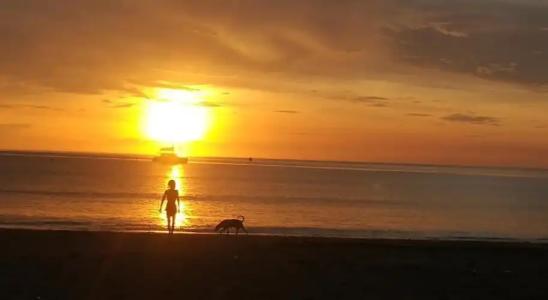 Cashew Nut Bungalow, Ko Mook - 13