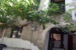 Ellen Theodora House Kolivata, Nikiana