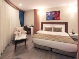 Comfort Suite