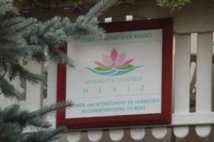 Hevizi fecskefeszek, Heviz