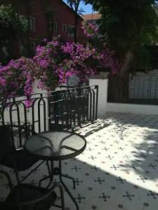 Serguzest Otel - 164