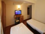 Standard Double room with balcony and with view