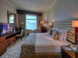 Double Panoramic Suite with mountain view