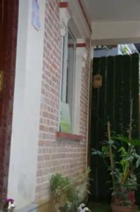 The Exotic House - 15