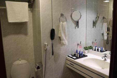 Al Khaleej Grand - 231