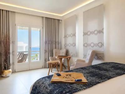 Anax Resort and Spa - 55