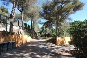 Camping Reale, Porto Azzurro