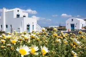 Vino Houses, Oia