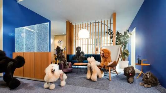 KristallFettehenne - 25