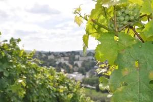 Schroeders Wein-Style-Hotel, Trier