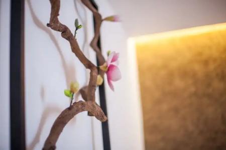 Orussey One & Apartment - 114