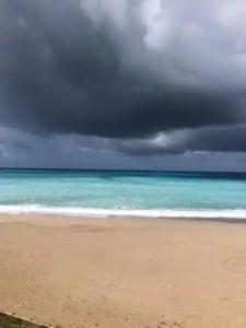 Honey Hill Faralya Forest Cabins by the Sea - 16