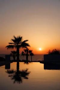 Desiterra Resort - 204