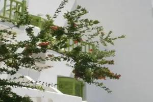 Siren Rooms and Apartments Paros, Parikia