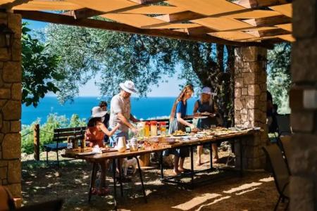 Holiday Park Olive Tree - 15