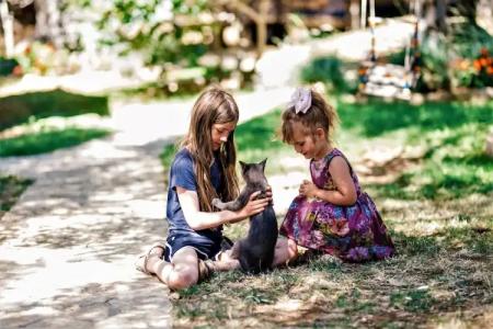 Holiday Park Olive Tree - 16