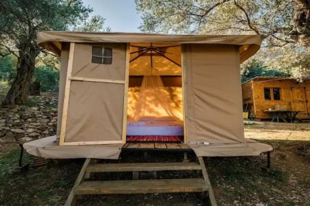 Holiday Park Olive Tree - 22