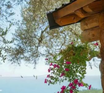 Holiday Park Olive Tree - 13