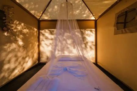 Holiday Park Olive Tree - 23