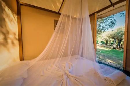 Holiday Park Olive Tree - 24