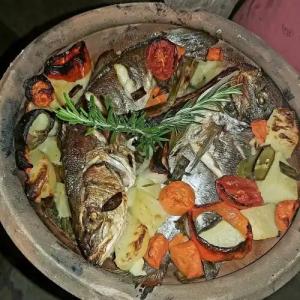 Holiday Park Olive Tree - 5