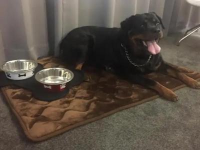 Hôtel Saphir Lyon - 27