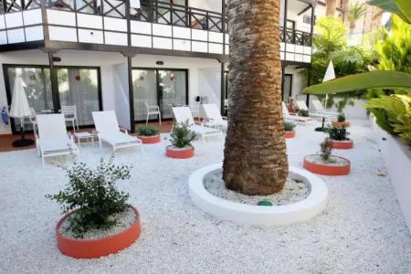 Vanilla Garden Boutique - Adults Only - 66