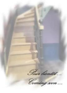 Bayard Bellecour - 113