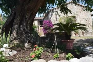 Agriturismo Fellino, Rossano