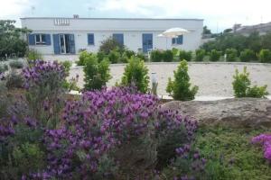 LI CURTI B&B, Melissano