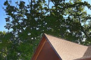 Sun-sational View #245 Holiday home, Sevierville