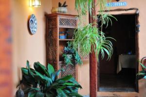 Hotel Emblemático San Marcos, Icod De Los Vinos