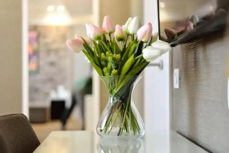 Belgrade Inn Garni - 16