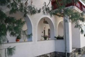 Viola Vendeghaz, Kehidakustany