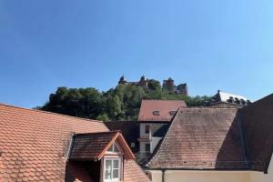 La Flamme Wertheim garni, Wertheim