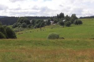 Hofgut Duerrenbuehl Farm, Grafenhausen