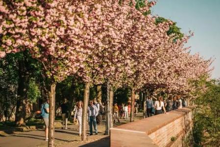 PEST-BUDA Design by Zsidais at Buda Castle - 68