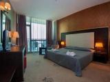 Standard Double room with balcony and with park view