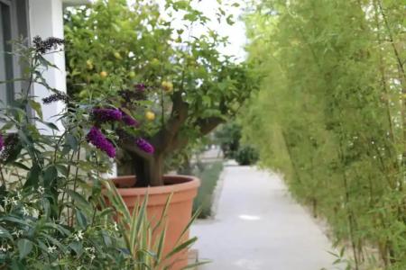 Central Park Hôtel & Spa - 20