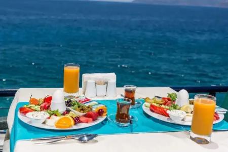 Sardunya Andifli Otel - 10