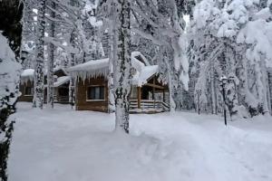 Cobankaya Orman Koskleri, Uludag