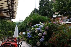 Hotel Ambrosi, Fiuggi
