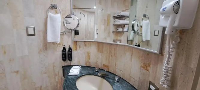 Rendezvous Singapore by Far East Hospitality - 43