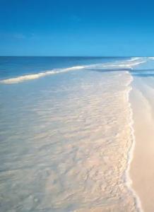 The Palms Zanzibar - 8