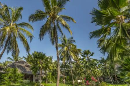 The Palms Zanzibar - 28