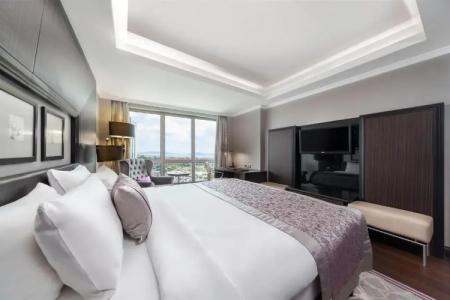 Dedeman Bostanci Istanbul & Convention Center - 117