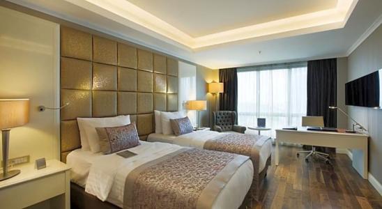 Dedeman Bostanci Istanbul & Convention Center - 100